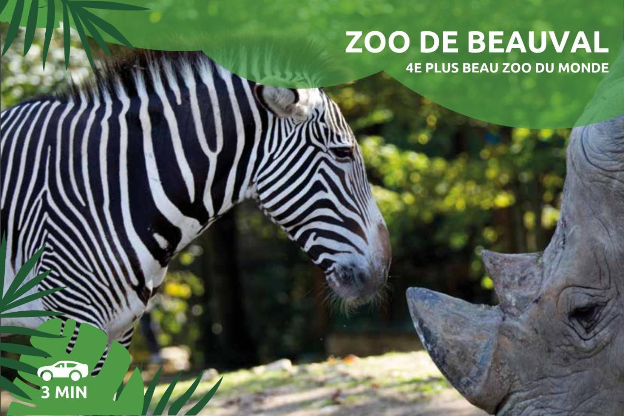 "Le Savannah" - Jacuzzi - A 3Min Du Zoo De Beauval Saint-Aignan  Eksteriør billede